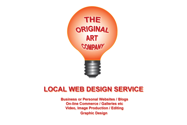 Company Flyer Adare Web Designer
